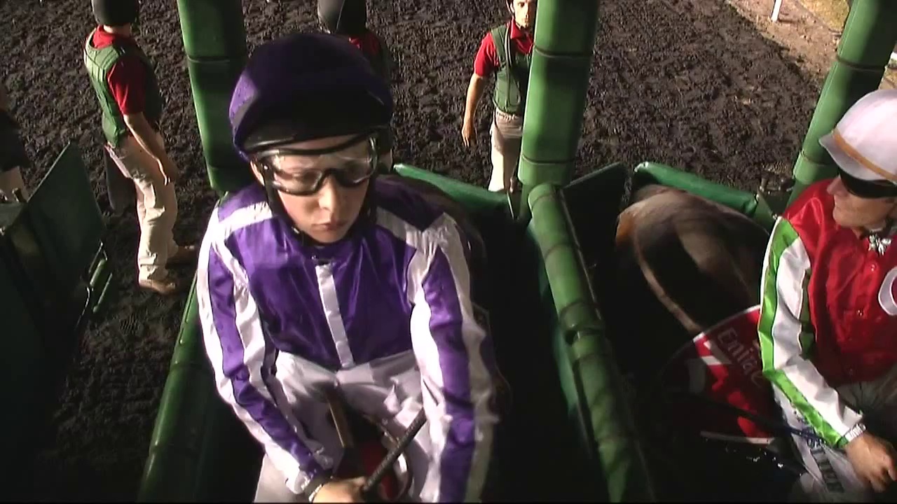 Dubai World Cup 2012 (replay 720pHD)