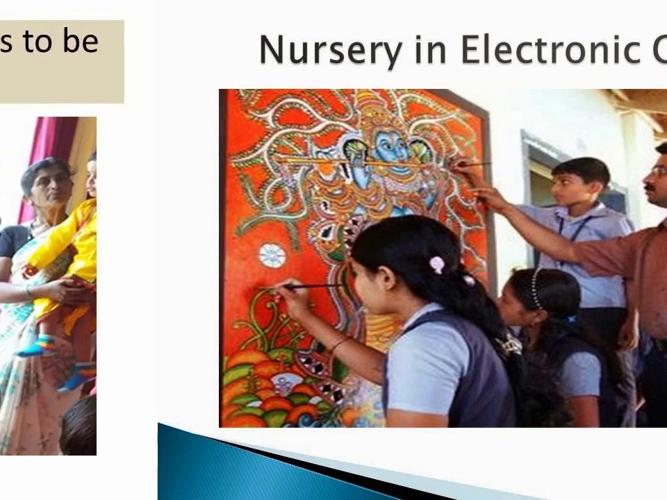 Cares and Daycares in Ecity Pollination Schools