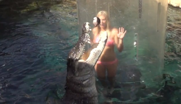 Crocodile Fishing in Spectacular Slow-Motion