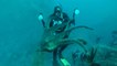 Une pieuvre géante vole la caméra de plongeurs en Californie !!