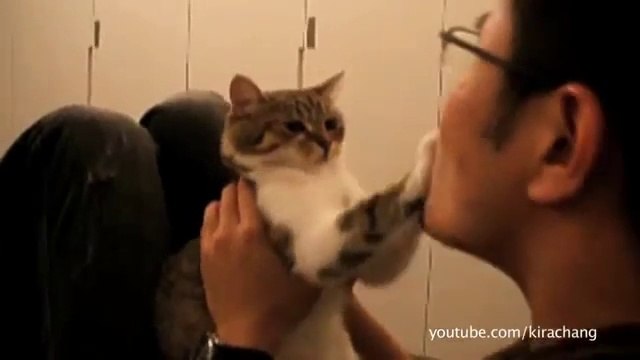 Gatos y perros, no quieren tus besos