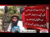 Various TTP groups contacted for decision on ceasefire Taliban spokesperson