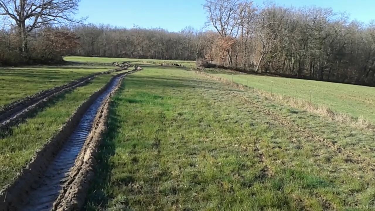 Une reprise sur une menée dans la voie du lièvre