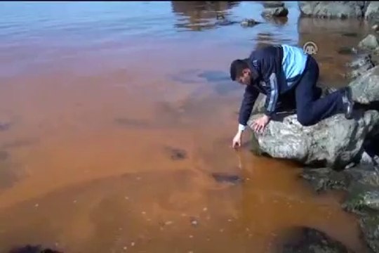 Doğa olayı mı, yoksa çevre kirliliği mi?