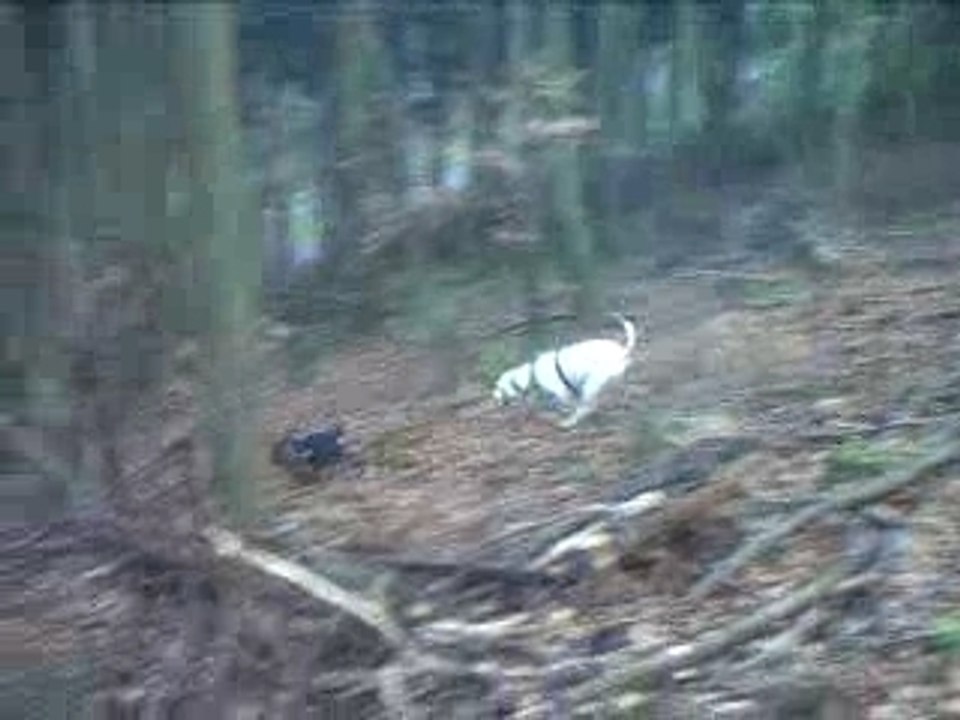 CLIP0043