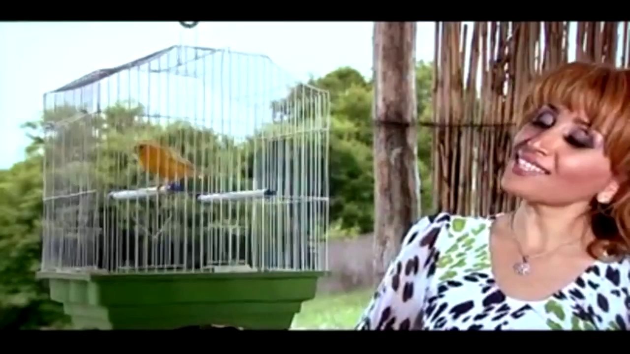 Elnarə Abdullayeva  Bülbül