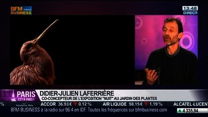 La sortie du jour: Didier-Julien Laferrière, commissaire de l’exposition "Nuit" au Jardin des Plantes, dans Paris est à vous – 18/02