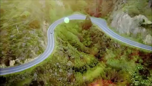 Porsche 911 Carrera, Carrera S, and Carrera 4S tribute