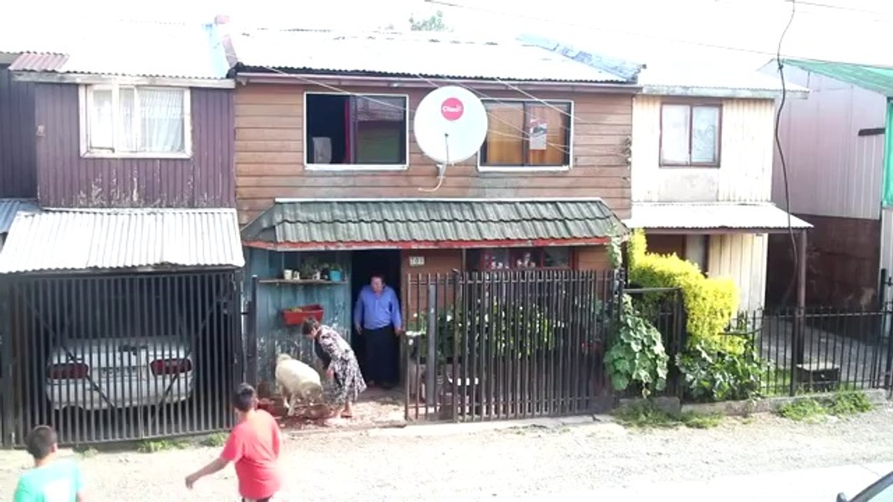 Hund hilft einem älteren Paar dabei, das Holz ins Haus zu bringen