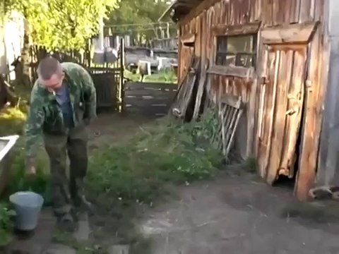 Hund macht die Tür hinter sich zu