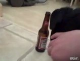 Hund möchte das Bier nicht hergeben