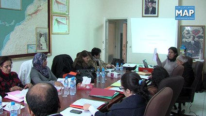 اجتماع اللجنة المكلفة بتحضير دليل حول توصيات المؤتمر الدولي للسكان والتنمية +20 