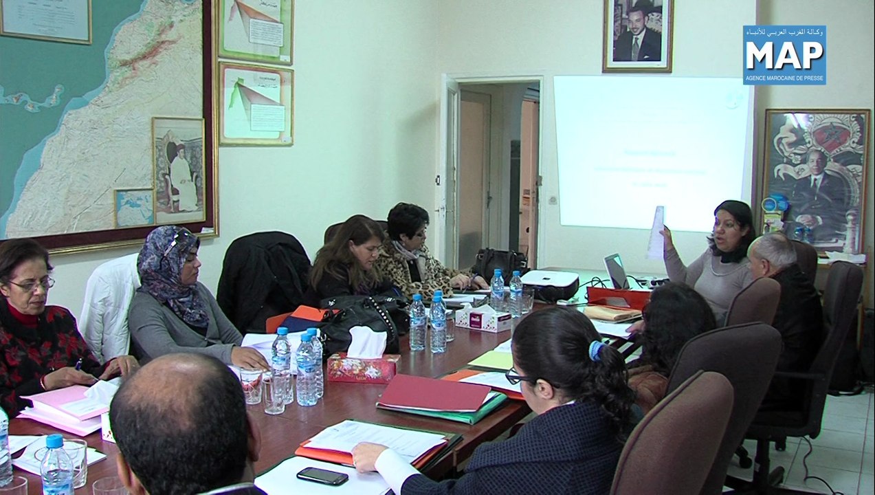 اجتماع اللجنة المكلفة بتحضير دليل حول توصيات المؤتمر الدولي للسكان والتنمية +20 