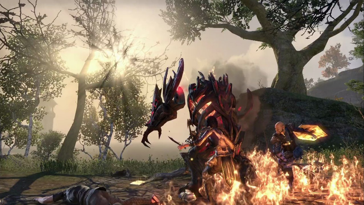 The Elder Scrolls Online - Combat