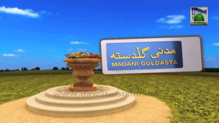 Useful Information 566 - Qayamat Ki Holnakiyan - Abdul Habib Attari