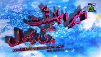 Ameer e Ahle Sunnat Ke Madani Phool Ep 32 (9,12,13 Ramzan 1434)