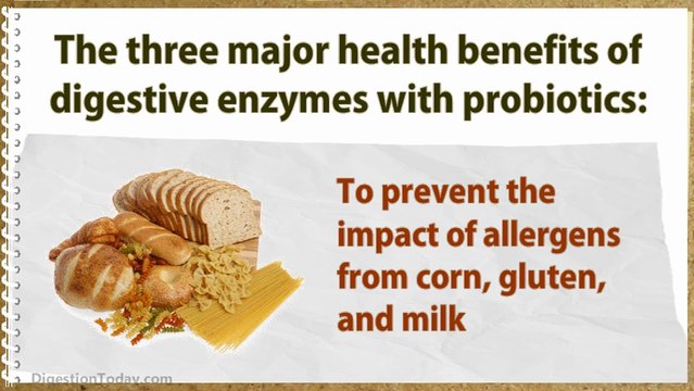 Digestive Enzymes For People Who Suffer From Regular Digestion Problems