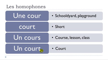 Learn French #Unit 11 #Lesson D = Les homophones