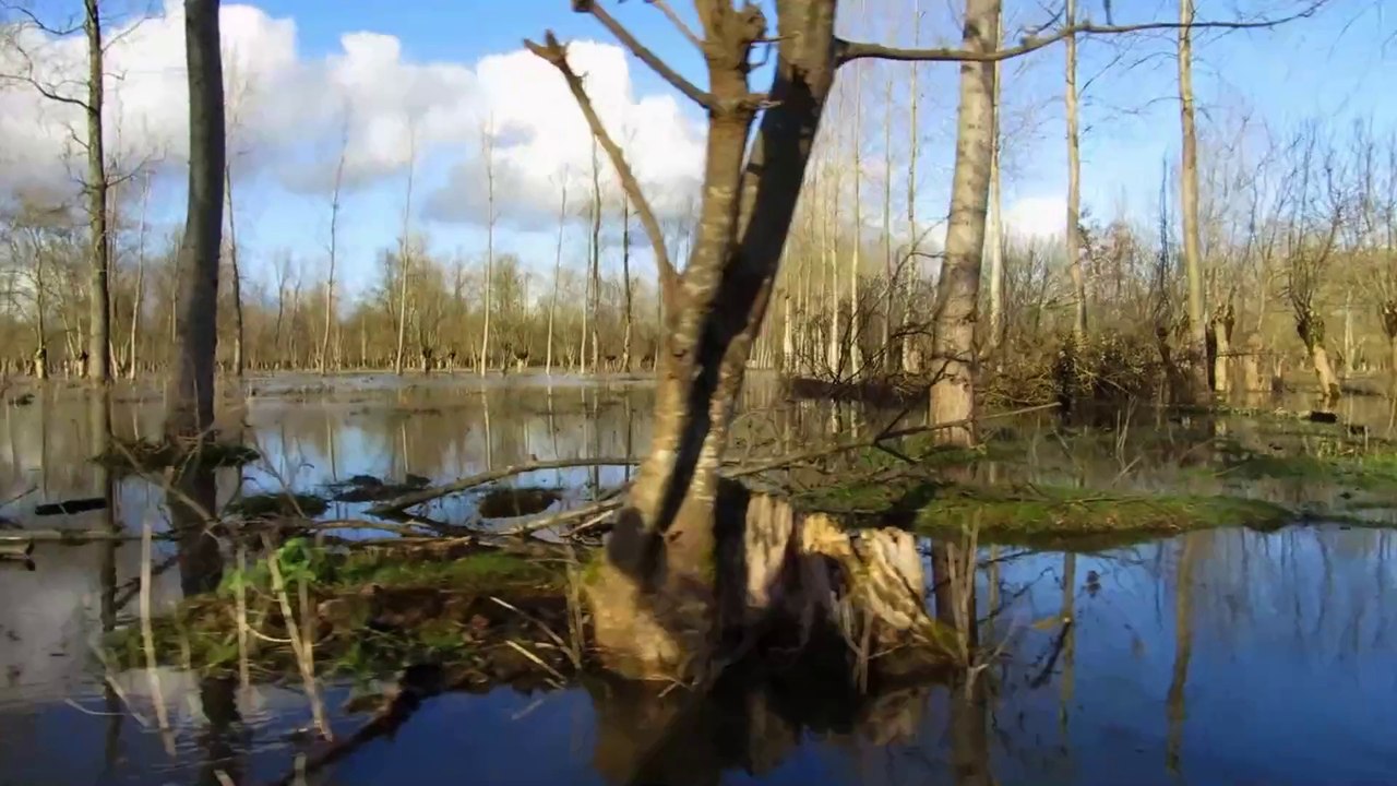 Le marais Poitevin 01