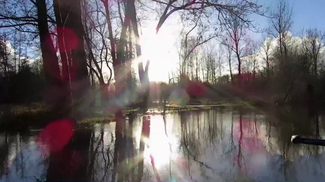 Le marais Poitevin 03