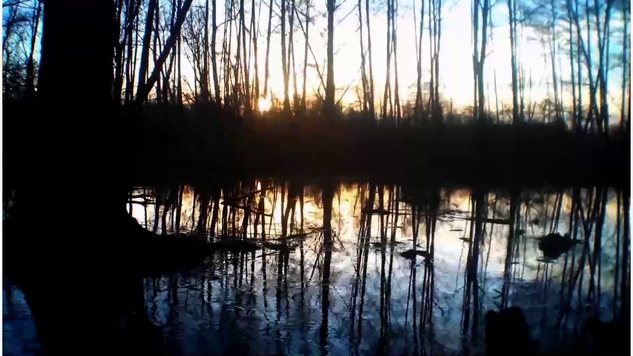 Le marais Poitevin 06