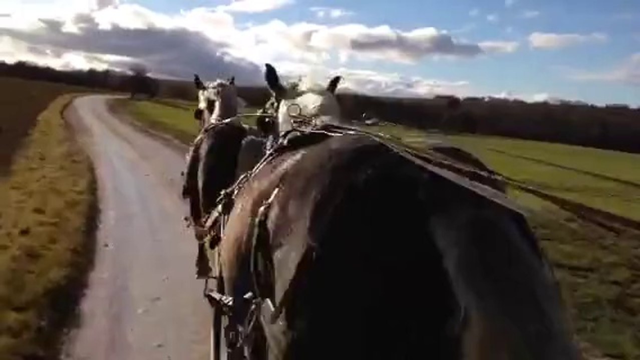 tandem2