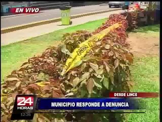 Municipio de Lince inició programa de desratización en todo el distrito