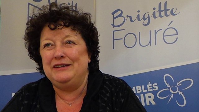 Municipales 2014 Amiens, liste UDI-UMP