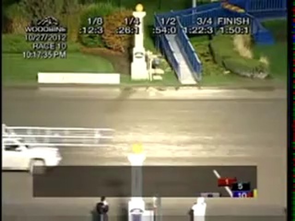Breeders Crown 2012