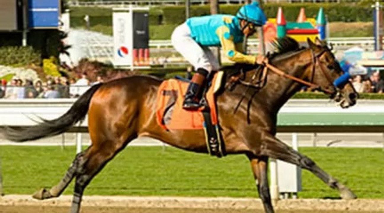 Paynter