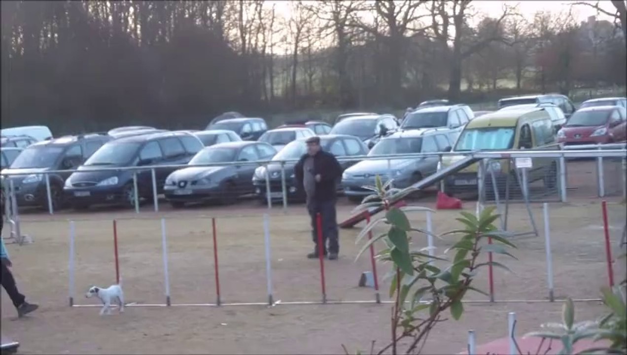 Foxy GPF Concours de cholet 02-2014