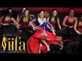 15th IIFA Awards | Madhuri Dixit's Performance