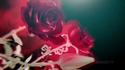 HBO South Asia TV idents - HBO TV Commercial Ad