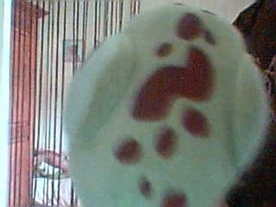 Video 5