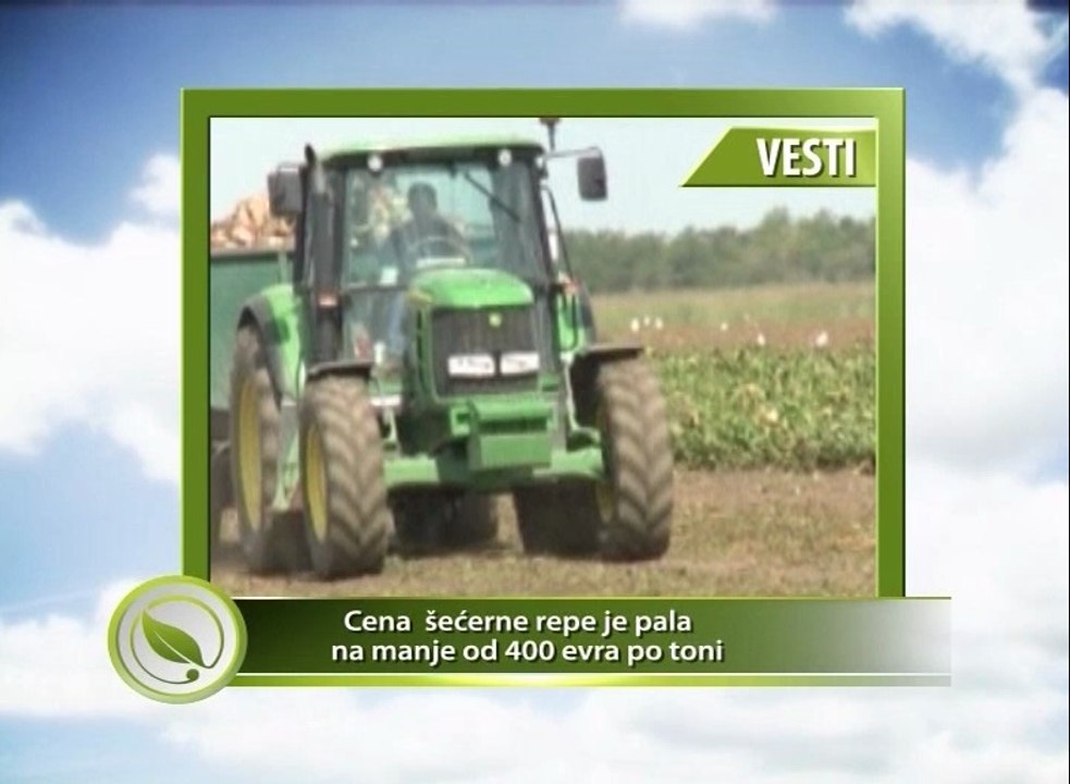 Vesti - Cena šećerne repe pala na manje od 400 dolara po toni_ 334 _08.02.2014.