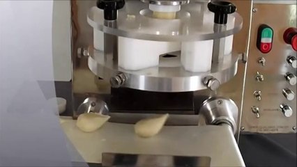 Maquina de Salgados