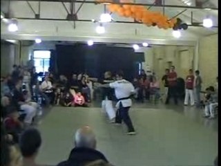 arts martiaux acrobatiques