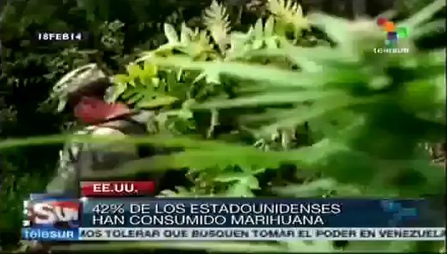 Podrían despenalizar el consumo de marihuana en Washington D.C.