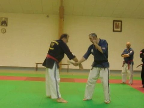 Application du kata tanto happo de l'école Toreikan, avec partenaire.