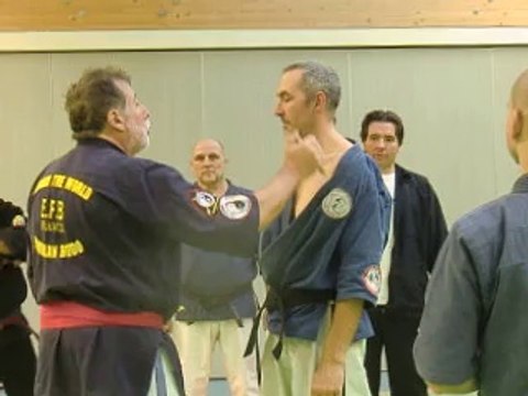 Travail sur les tsubos de l'épaule avec yubibo par Jean-Paul Bindel, Hanshi
