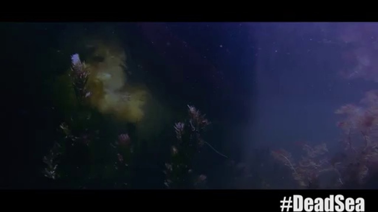 Dead Sea - Clip 1