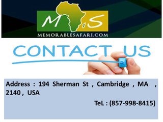 Memorable Safari Affordable tourism to maasai