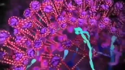 Introduction sur les nanotechnologies