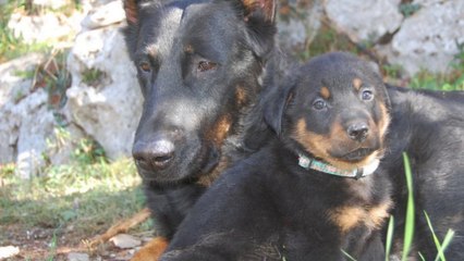 A mon inoubliable, ma merveilleuse Toscane