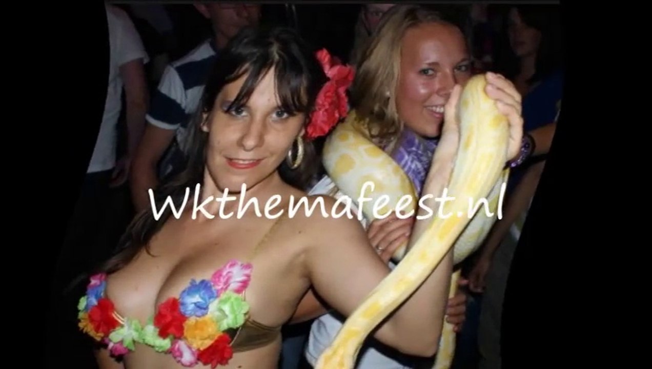 wkthemafeest.nl