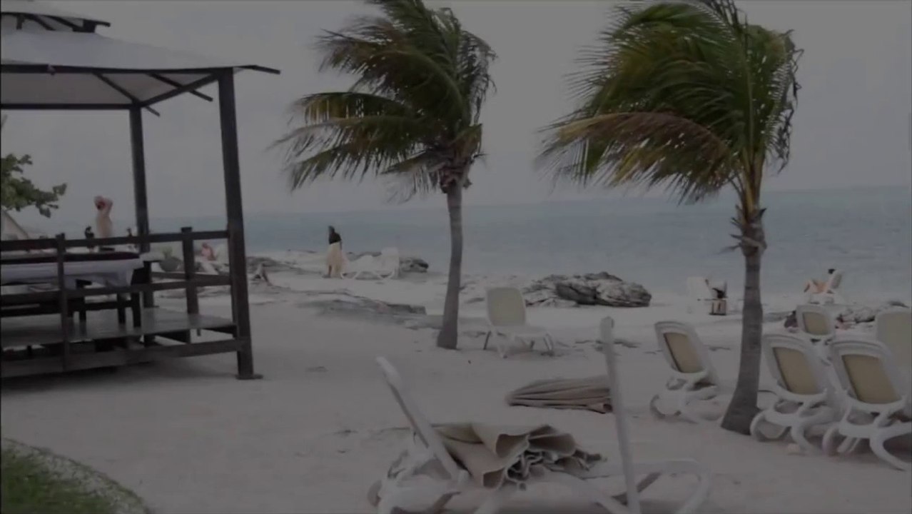 RIU partnership with CANDi (Cats and Dogs International)_2