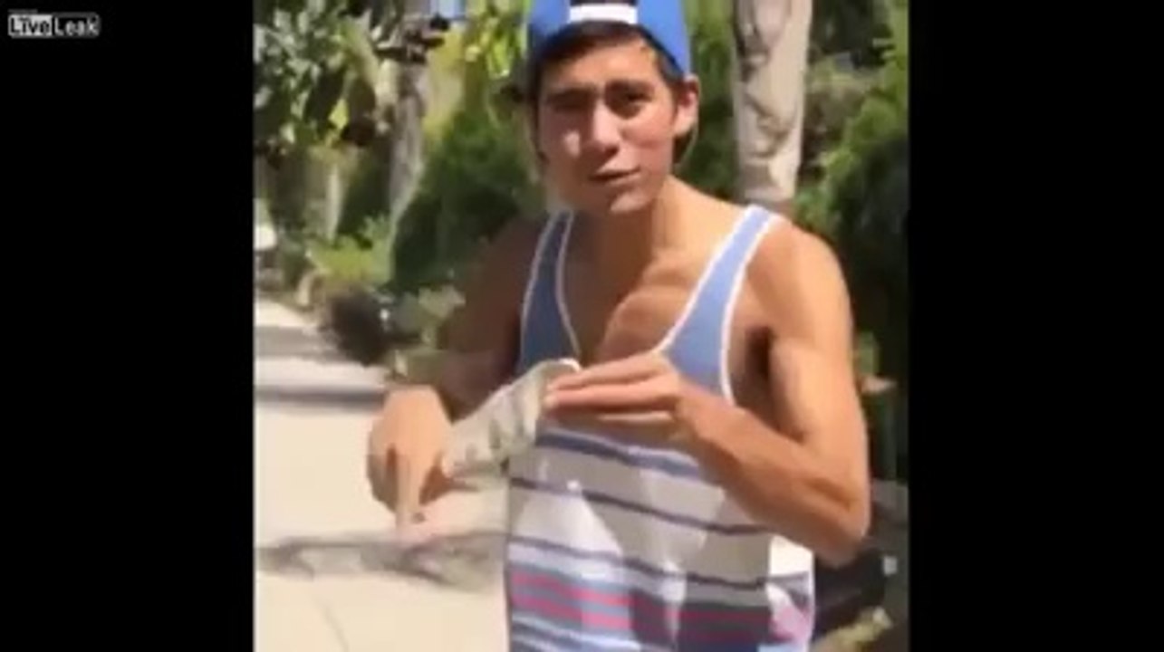 salute This Kid