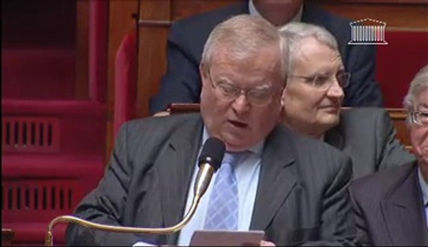 Jacques Myard - Visite d'État aux États-Unis