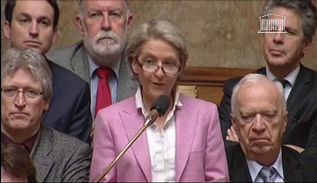 Laure de La Raudière - Attractivité de la France