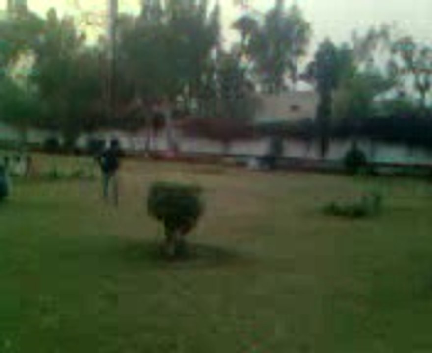 mian channu talent 6